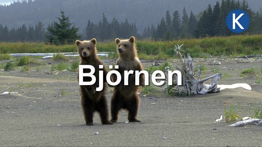 Björnar dating online